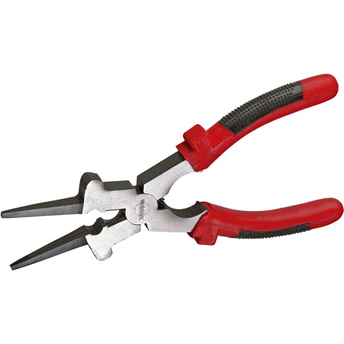 Image for T20229