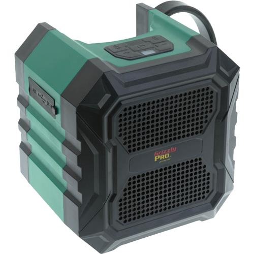 Image for Grizzly PRO T30300 - 20V Bluetooth Speaker